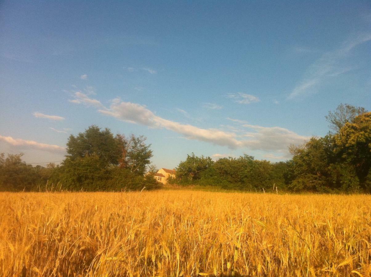 Tenuta Paljari Vižinada 外观 照片
