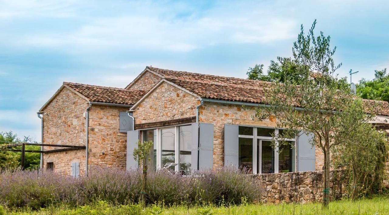 Tenuta Paljari Vižinada 外观 照片